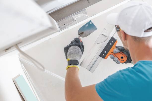 Best Drywall Sanding and Smoothing  in Ada, MN